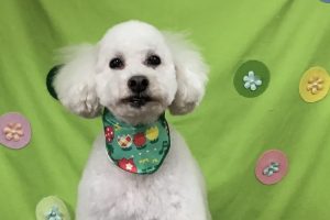 4月のお友達☆