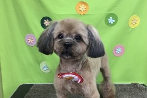 4月のお友達☆