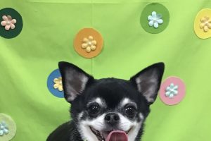 4月のお友達☆