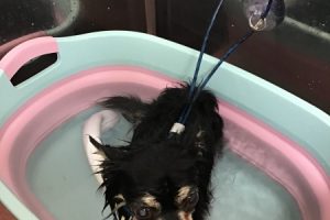 ４月のお友達☆