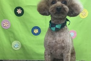 4月のお友達☆