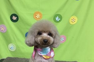 ４月のお友達☆