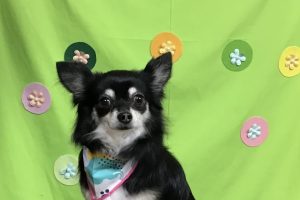 4月のお友達☆