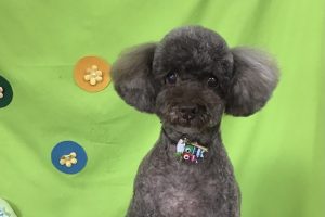 4月のお友達☆