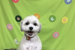 ４月のお友達☆