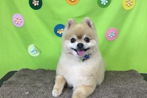 ４月のお友達☆