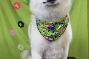 ４月のお友達☆