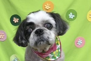 ４月のお友達☆