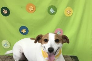 4月のお友達☆