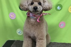 ４月のお友達☆