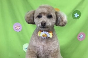４月のお友達☆