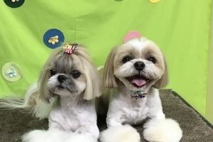 4月のお友達☆