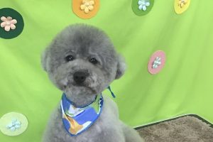 ４月のお友達☆