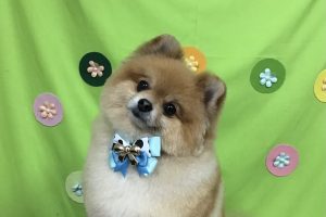 4月のお友達☆