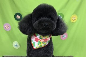 ４月のお友達☆
