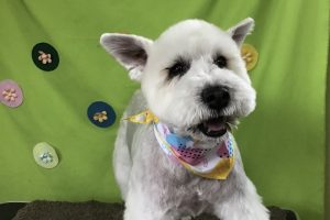 ４月のお友達☆