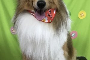 4月のお友達☆