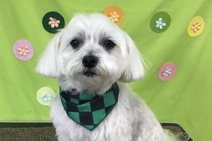 4月のお友達☆