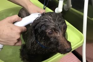 4月のお友達☆