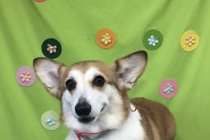４月のお友達☆