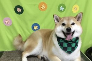 ４月のお友達☆