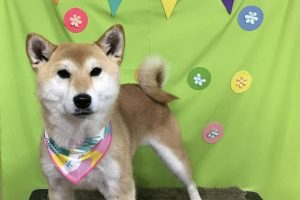 ４月のお友達☆