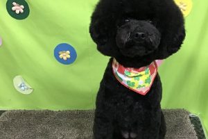 ４月のお友達☆