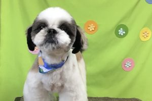 ４月のお友達☆