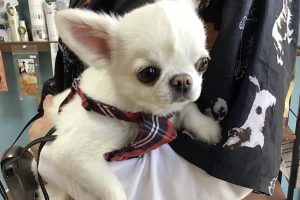 お泊まり中☆