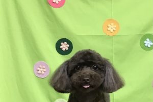 ４月のお友達☆