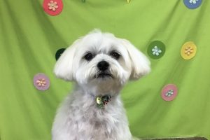 ４月のお友達☆