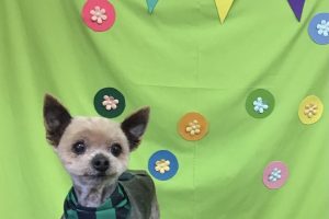 ４月のお友達☆