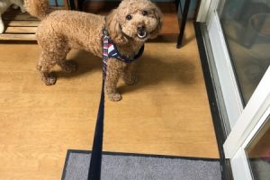お泊まり中☆