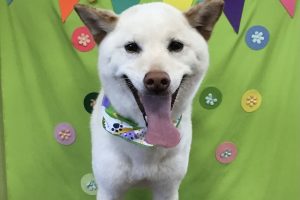 ４月のお友達☆