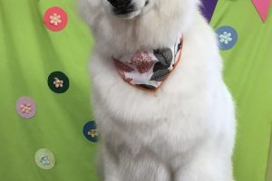 ４月のお友達☆