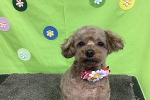 4月のお友達☆