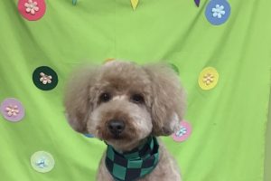 ４月のお友達☆