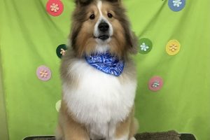 ４月のお友達☆