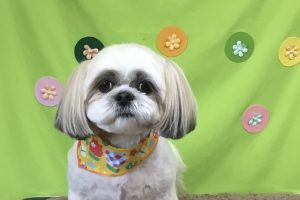 ４月のお友達☆