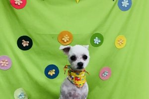 4月のお友達☆