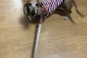お泊まり中☆