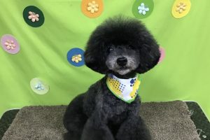 4月のお友達☆
