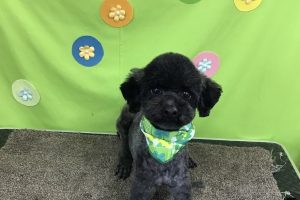４月のお友達☆