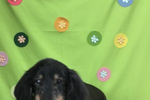 4月のお友達☆