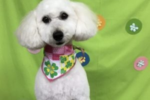 4月のお友達☆