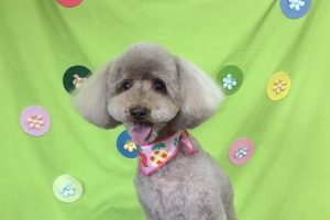 ４月のお友達☆