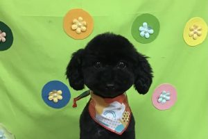 4月のお友達☆