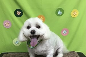 4月のお友達☆