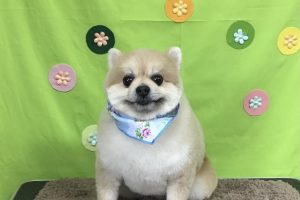 4月のお友達☆