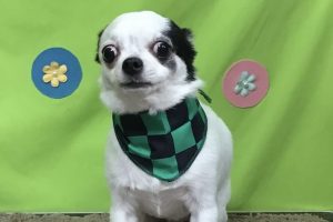 4月のお友達☆